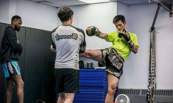 Muay Thai round house kick