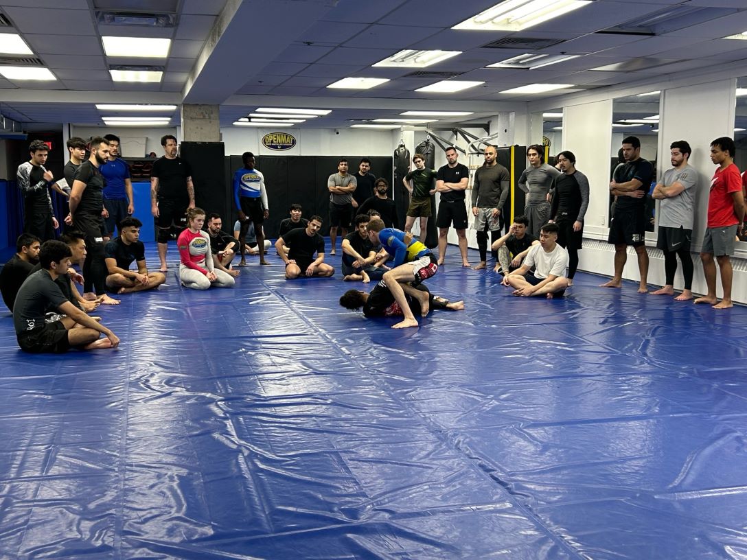 No Gi 101 class